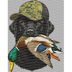 Animal Text Series-AT 3715